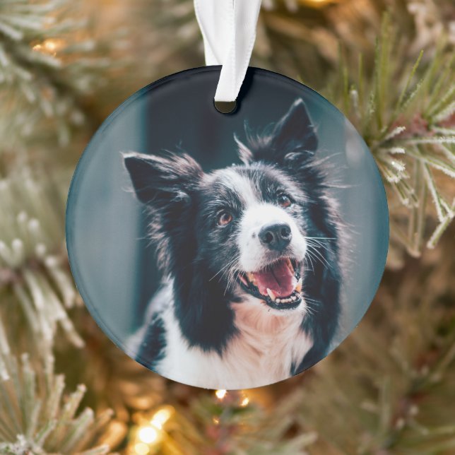 Ornamento Christmas Dog Photo  (Árvore)