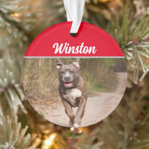 Ornamento Cinza Pit Bull com nome e foto de Natal