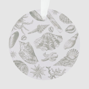 Ornamento Cinza suave sálvia Concha de mar Esboço Antigo Nat