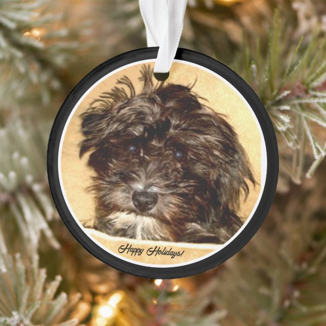 Ornamento Círculo de Acrílico Schnoodle (Árvore)