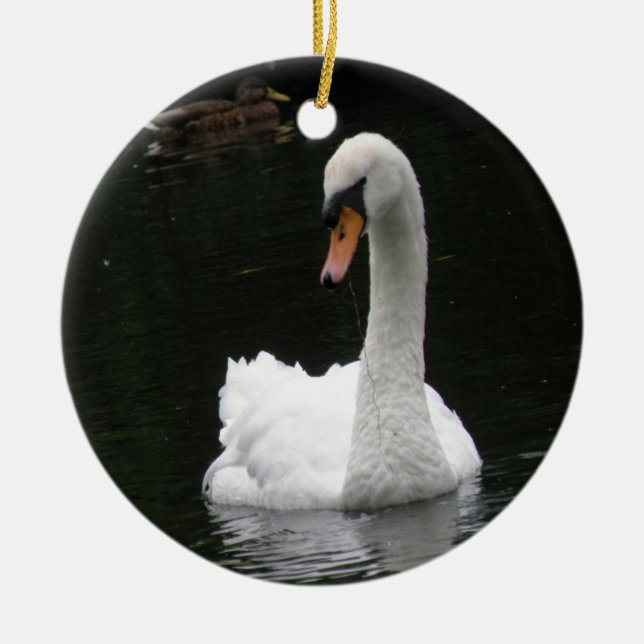 Ornamento Cisne Branco (Frente)
