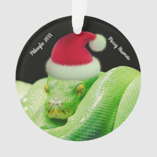 Ornamento Cobra verde da árvore em Santa Hat Feliz Hissmas