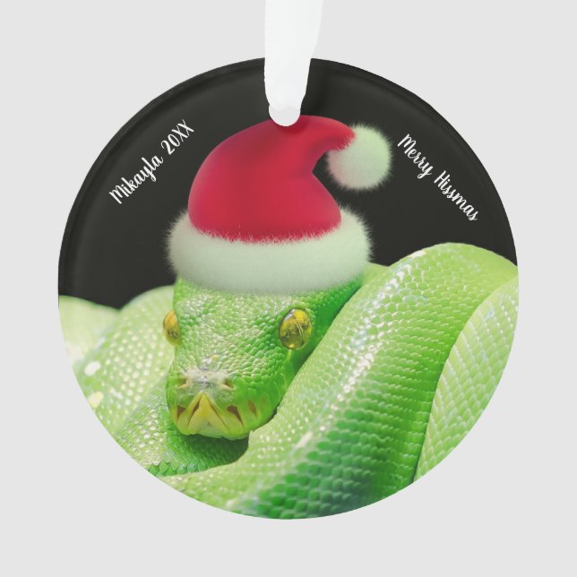 Ornamento Cobra verde da árvore em Santa Hat Feliz Hissmas (Frente)