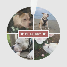 Ornamento Colagem de Fotos Modernas Seja Feliz