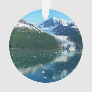 Ornamento College Fjord I Beauful Alaska Photoographic