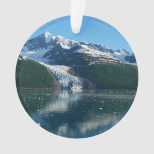 Ornamento College Fjord II Beauful Alaska Photoics