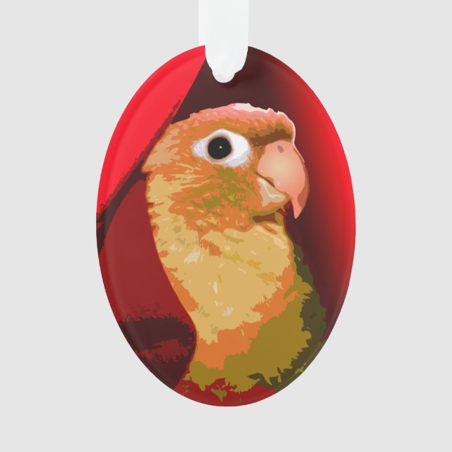 Ornamento Conure de Bochecha Verde Papagaio Carinhos Pombo A (Frente)