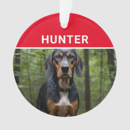 Ornamento Coonhound com nome de cachorro e foto de Natal