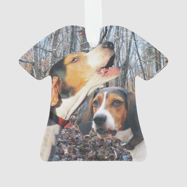 Ornamento Coonhound do caminhante de Treeing (Verso)