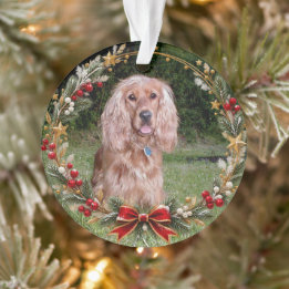 Ornamento Coroa de Natal com Foto Personalizada do Animal de