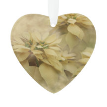 Creme - Poinsettias Digital Art Acrylic