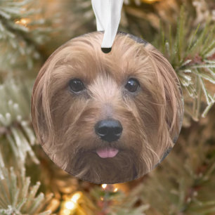 Ornamento Crie seu próprio cão Foto personalizada Pet Pupp