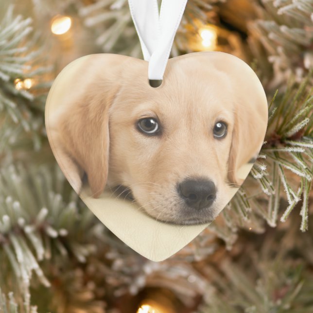 Ornamento Crie Sua Própria Foto Personalizada de Animal de E (Árvore)