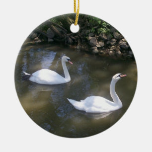 Ornamento curioso das cisnes