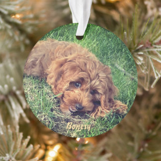 Ornamento Cute Golden Doodle Ornament