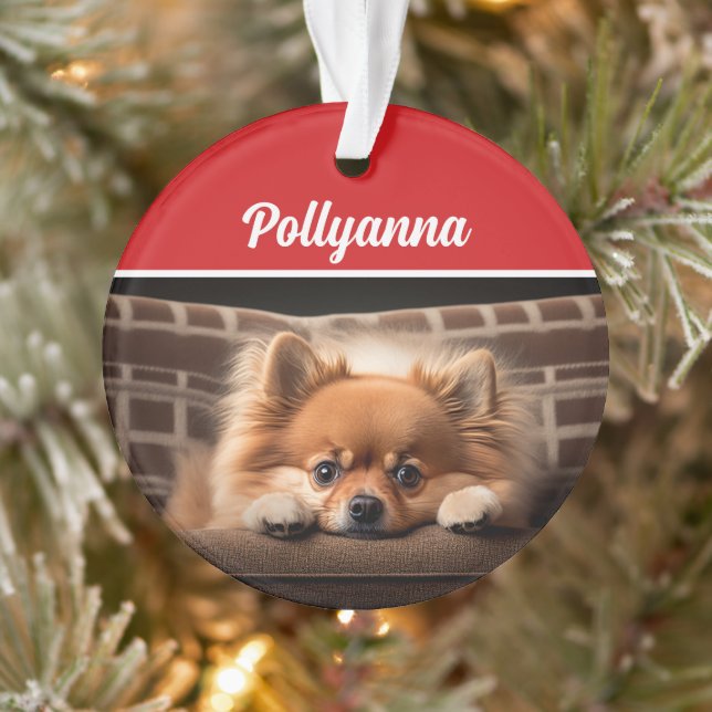 Ornamento Cute Pomeranian Dog Holiday Christmas Photo (Árvore)
