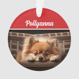 Ornamento Cute Pomeranian Dog Holiday Christmas Photo