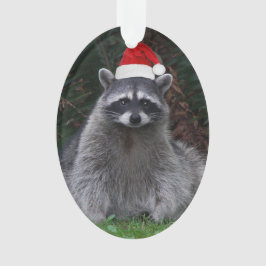 Ornamento Cute Raccoon Vestindo Feriado Vermelho Santa Hat