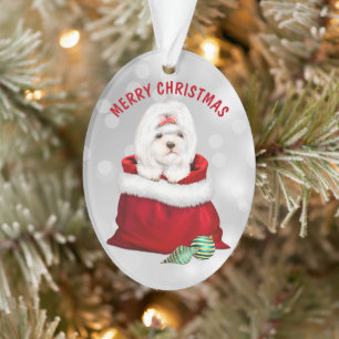 Ornamento Cute Shih Tzu Dog Surpresa Ornament