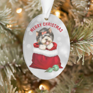 Ornamento Cute Yorkshire Terrier Dog Surprise Ornament