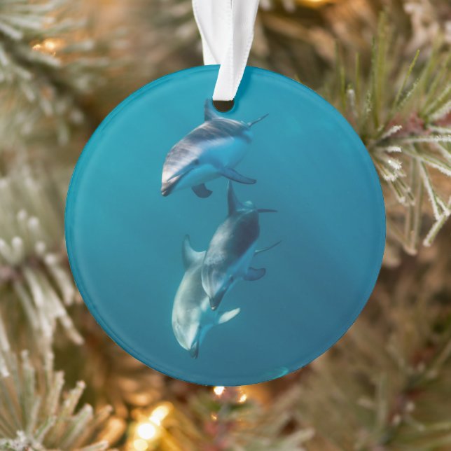 Ornamento Cutest Baby Animals | Dolphin Family (Árvore)