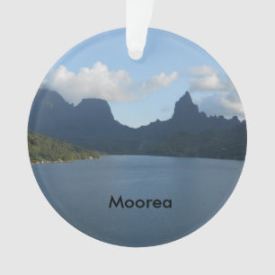 Ornamento da árvore de Natal