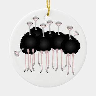 Ornamento da avestruz