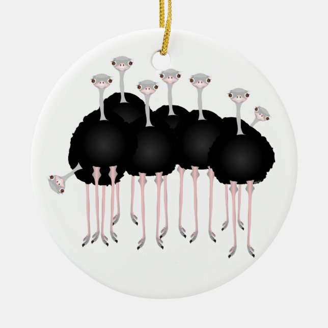 Ornamento da avestruz (Frente)