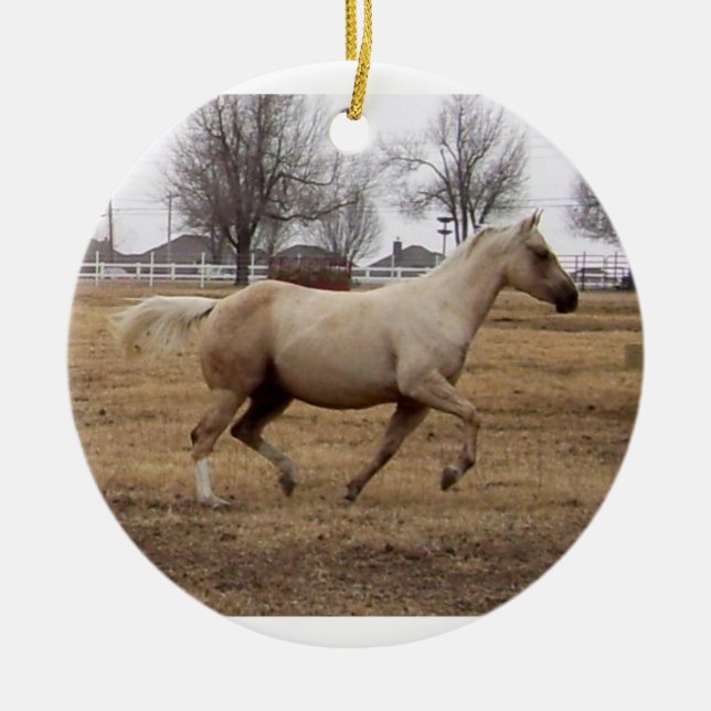 Ornamento da beleza em movimento (Frente)