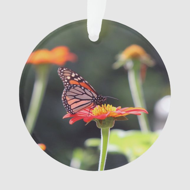 Ornamento da borboleta (Frente)
