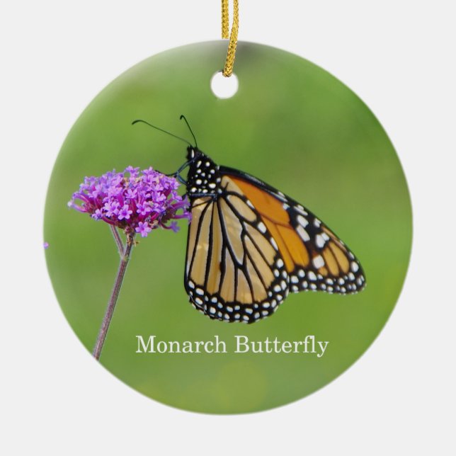 Ornamento da Borboleta Monarch (Frente)