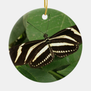 Ornamento da Borboleta Zebra Longwing