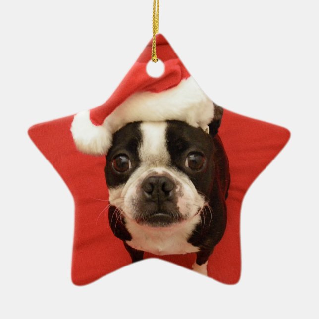 Ornamento da estrela do papai noel de Boston (Frente)