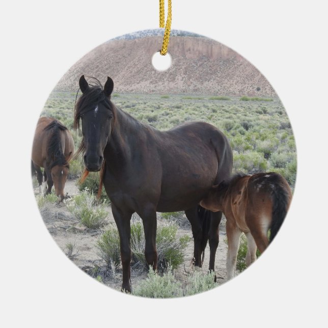Ornamento da fauna selvagem, cavalos selvagens, na (Frente)