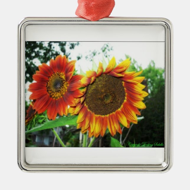 Ornamento da flora da árvore de Natal (Frente)