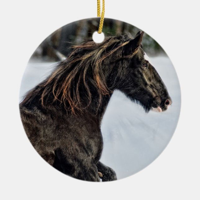 Ornamento da neve de Brenda Lee (Frente)