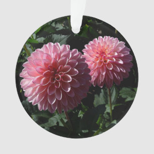 Ornamento Dahlia Valley Porcupine #1 Ornament