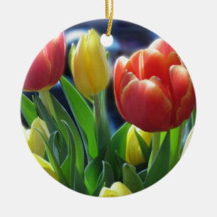 Ornamento das tulipas