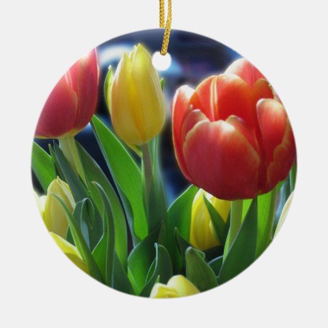 Ornamento das tulipas (Frente)