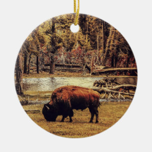 Ornamento de Buffalo