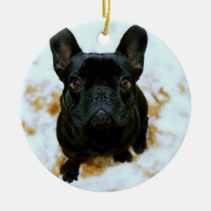 Ornamento De Bulldog Francês Com Sua Foto