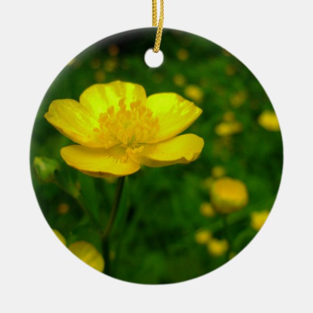 Ornamento de ButterCup Flores Decoração de Natal (Frente)