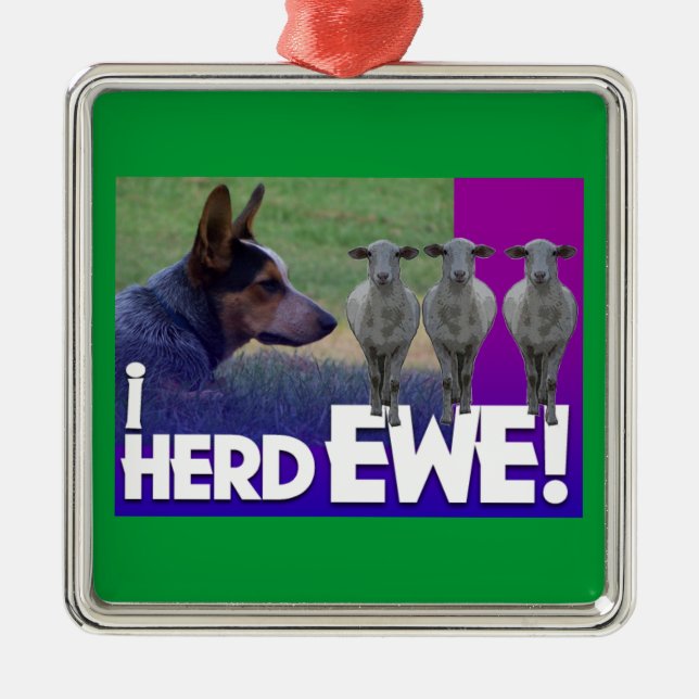 ORNAMENTO DE CACHORRO AUSTRALIANO EU HERD EWE (Frente)