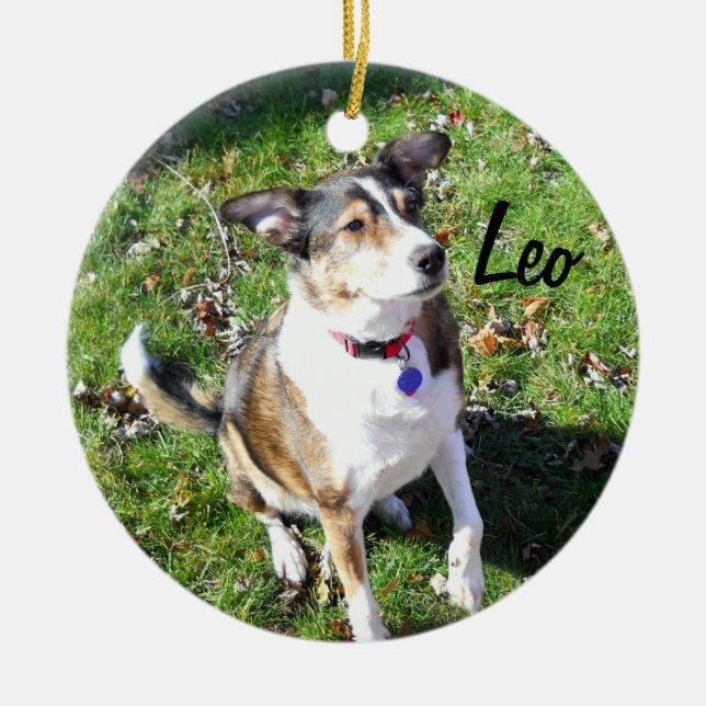 Ornamento de Cachorro Personalizado (Frente)