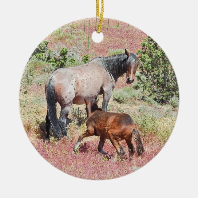 Ornamento de cavalos selvagens, vida selvagem, nat (Frente)