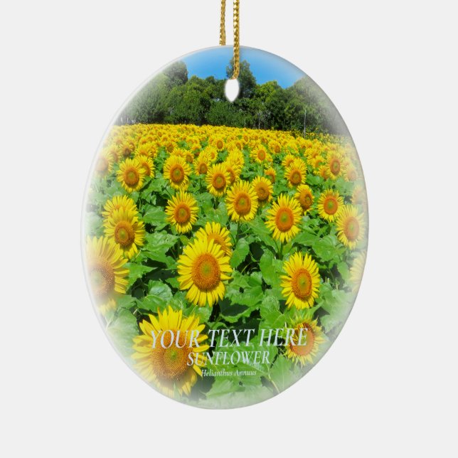 ORNAMENTO DE CERÂMICA ひまわり (Direito )