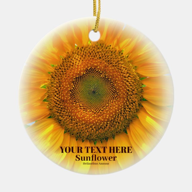 ORNAMENTO DE CERÂMICA ひまわり (Frente)
