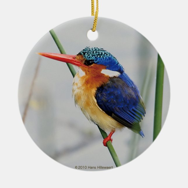 ORNAMENTO DE CERÂMICA カワセミの優良製品 (Frente)