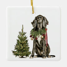 1º Natal Lar Eterno, Dogue Alemão, Texto Verde