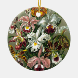 Ornamento De Cerâmica 20101126181226! Haeckel_Orchidae.jpg